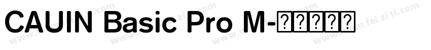CAUIN Basic Pro M字体转换